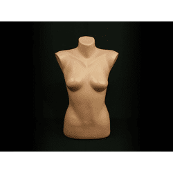 Torso Bürste Frau Schaufensterfigur Body nur 19 Euro