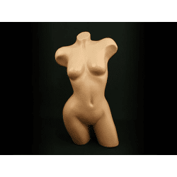 Torso Bürste Frau Schaufensterfigur Body nur 22 Euro