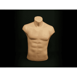 Torso Bürste Mann Schaufensterfigur Body nur 19 Euro