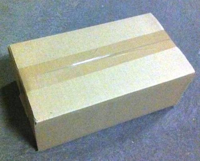 Kartons 1-wellig Innenmaße LxBxH 300x165x105mm 