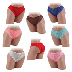 Damen Slips Unterwäsche Mix Gr. M-XXL je 0,65 EUR