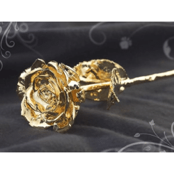 St. Leonhard Echte Rose mit echtem Gold veredelt 28cm mit Echtgold