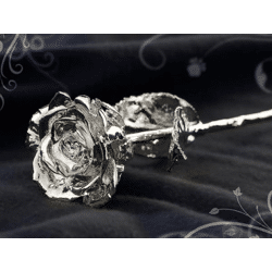 St. Leonhard echte Rose mit echtem Silber überzogen 28cm