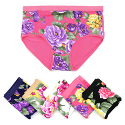 Damen Slips Unterwäsche Unterhosen Hot Pants