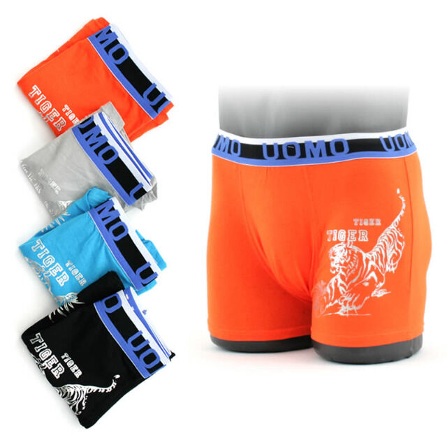Herren Boxer Shorts Slips Unterhosen Wäsche
