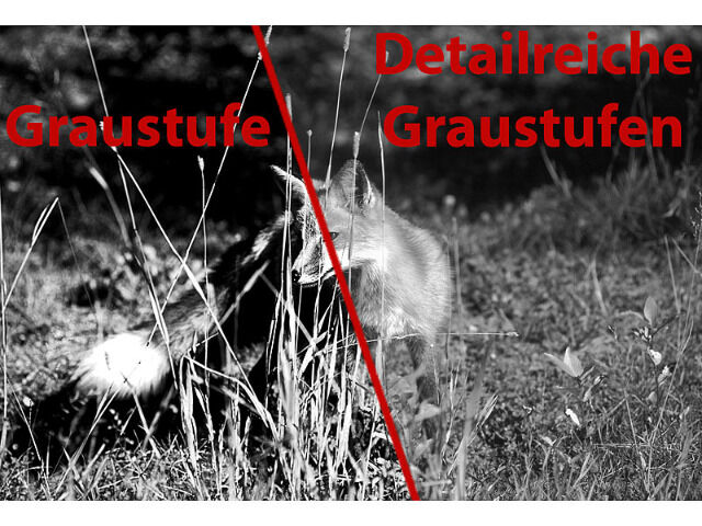 Zavarius Nachtsichtgerät DN-700, Binokular, bis 400 m Sichtweite, SD-Aufnahme