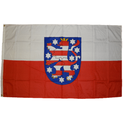 Flag Thuringia 90 x 150 cm
