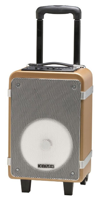 Denver TSP-150 Trolley Bluetooth Lautsprecher mit Radio, USB, SD, AUX 15Watt