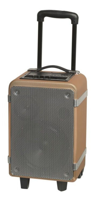 Denver TSP-150 Trolley Bluetooth Lautsprecher mit Radio, USB, SD, AUX 15Watt