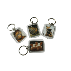 Keyring pendant 4 x 5 cm various animal motifs