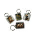 Schluesselanhaenger 4 x 5 cm diverse Tier Motive