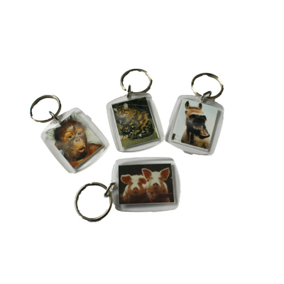 Schluesselanhaenger 4 x 5 cm diverse Tier Motive