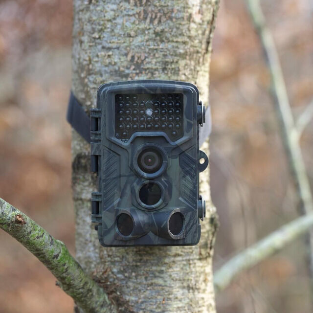 Denver WCT-8010 Wildkamera mit Farbdisplay Bewegungssensor 12MP Tier Wild Überwachungskamera Futterkamera Wildtier Überwachung Cam Nachtsich