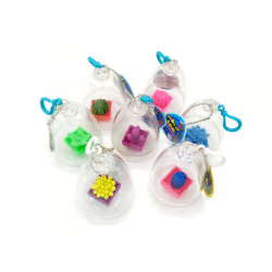 Wachsende Pflanzen im 12er Display