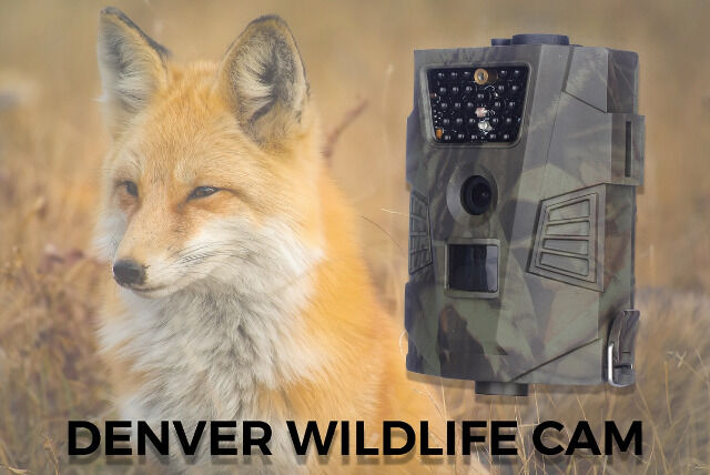 DENVER WCT-5001 Digitale Wildlife-Kamera mit 5-Megapixel-CMOS-Sensor 30 IR-LEDs zur Verwendung bei Nacht