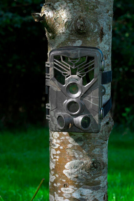 DENVER WCT-8020W Digitale Wildlife-Kamera mit 8-Megapixel-CMOS-Sensor und Wi-Fi-Funktion