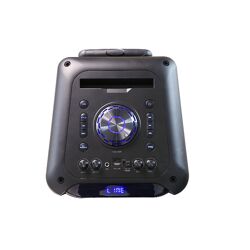 DENVER TSP-306 8-Zoll-Bluetooth-Trolley-Lautsprecher Mit eingebautem Akku und LED-Leuchte vorne