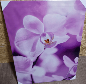 nur € 2,90/Bild, 1 Palette EUROGRAPHICS 47x62 cm, Originalverpackt