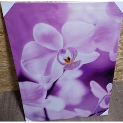 nur € 2,90/Bild, 1 Palette EUROGRAPHICS 47x62 cm, Originalverpackt