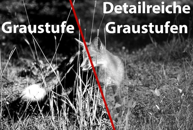 Zavarius DN-800 V2 Nachtsicht Fernglas Nachtsichtgerät binokular HD-Videokamera 700 m IR-Sichtweite