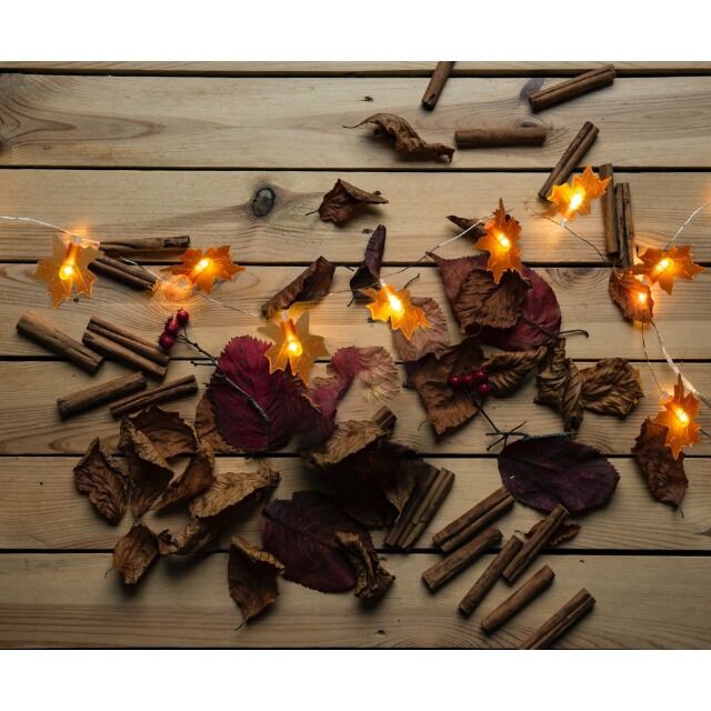 10 LED Lichterkette ca. 1,20 Meter Blätter warmweiß Party Weihnachten