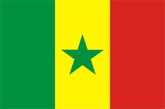 XXL Flagge Senegal 250 x 150 cm Nordafrika französische Kolonie Dakar Weltmeisterschaft Afrika Fahne Flagge  Africa Cup Touareg Fanartikel