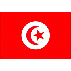 XXL flag Tunisia 250 x 150 cm Tunisia Arab Spring North Africa Maghreb Africa World Cup Africa Cup fan flag fan flag