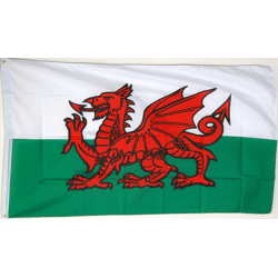 XXL Flagge Wales 250 x 150 cm Cardiff, Großbrittanien, United Kingdom Fahe Hissfahne Sturmflagge Insel UK Nationalflagge  Fanartikel 