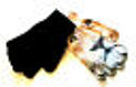 Kinder Handschuhe 2-er Pack mit Tigermuster und Basic von C&A