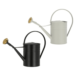 Gießkanne, Basic, 1L Volumen, 2/s, 10,5x22cm