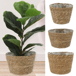 Pflanzkorb, Cattail, 3er Set, ca. 26cmD