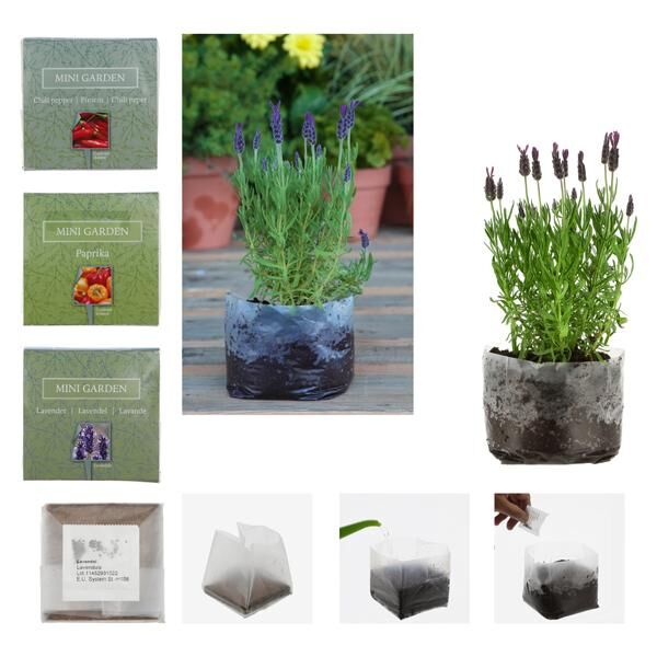 Minigarten Anzuchtset, 5/s
