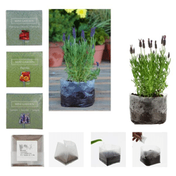 Minigarten Anzuchtset, 5/s