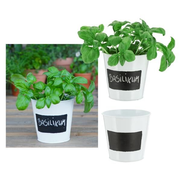 Planter, white, for labeling, approx. 15cmD