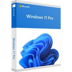 Microsoft Windows 11 Professional 32/64 Bit Retail ESD Vollversion 