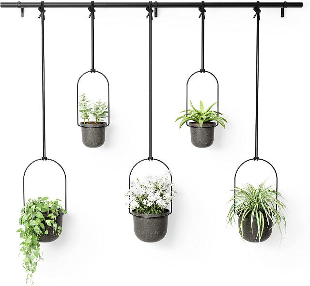 Umbra Triflora BLACK Hängeblumentopf, Wandvase, Blumentopf, Blumenampel für Wand-& Deckenanbringung Blumenvase Hängeampel Topf Sukkulenten