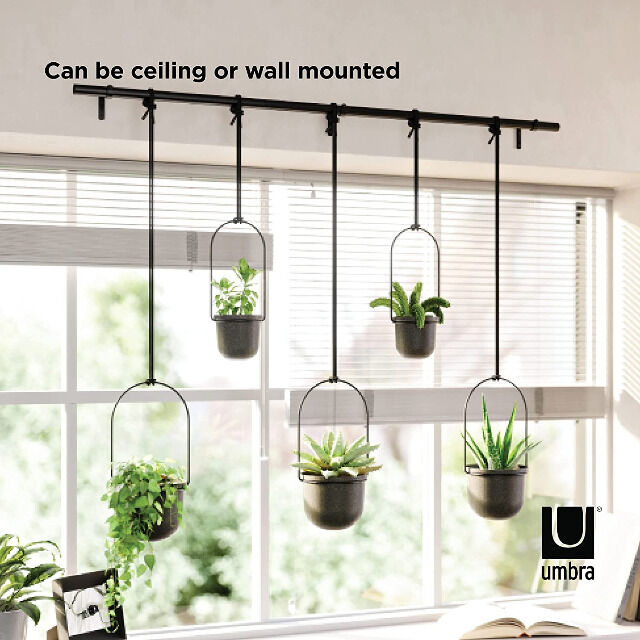 Umbra Triflora BLACK Hängeblumentopf, Wandvase, Blumentopf, Blumenampel für Wand-& Deckenanbringung Blumenvase Hängeampel Topf Sukkulenten
