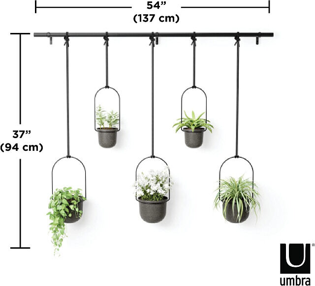Umbra Triflora BLACK Hängeblumentopf, Wandvase, Blumentopf, Blumenampel für Wand-& Deckenanbringung Blumenvase Hängeampel Topf Sukkulenten