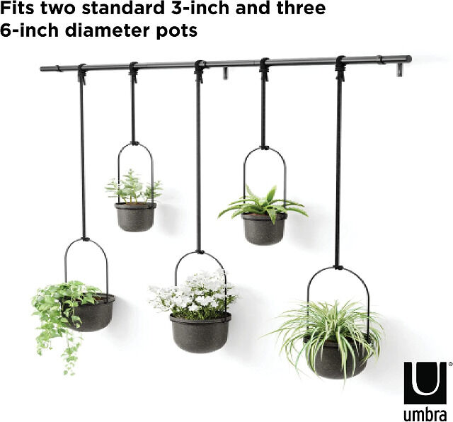 Umbra Triflora BLACK Hängeblumentopf, Wandvase, Blumentopf, Blumenampel für Wand-& Deckenanbringung Blumenvase Hängeampel Topf Sukkulenten