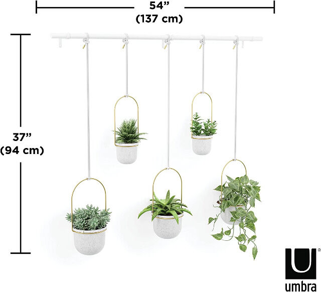 Umbra Triflora weiß / Messing Hängeblumentopf, Wandvase, Blumentopf, Blumenampel für Wand-& Deckenanbringung Hängeampel Hängevase Ampelvase 