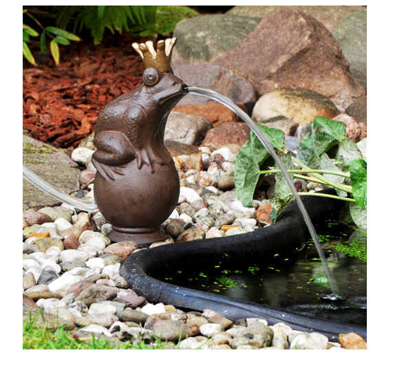 WASSERSPEIER FROSCHKÖNIG