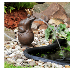 WASSERSPEIER FROSCHKÖNIG