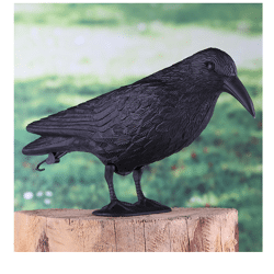 GARTEN ORNAMENT RABE