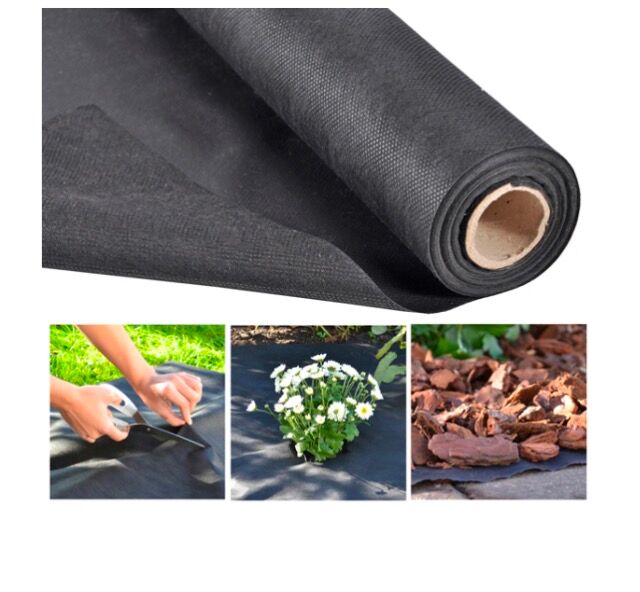 GARTENVLIES, SCHWARZ