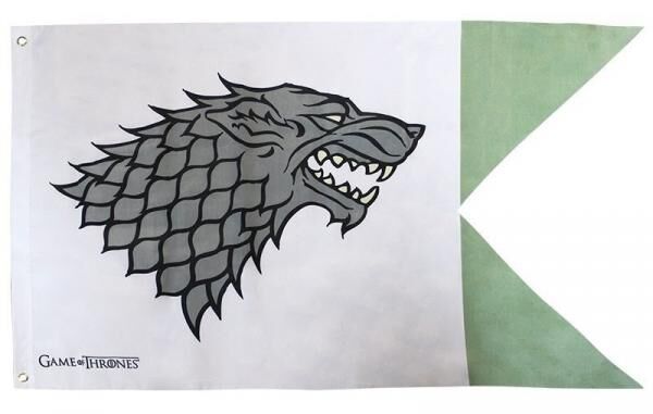 GAME OF THRONES - Flag Flagge Banner Stark (70x120cm)