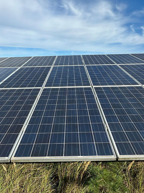 Trina TSM-PC05 240Wp