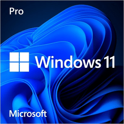 Microsoft Windows 11 Professional 64 Bit Retail ESD Vollversion