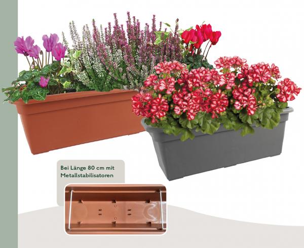 Flower box RIMINI 60 cm, anthracite