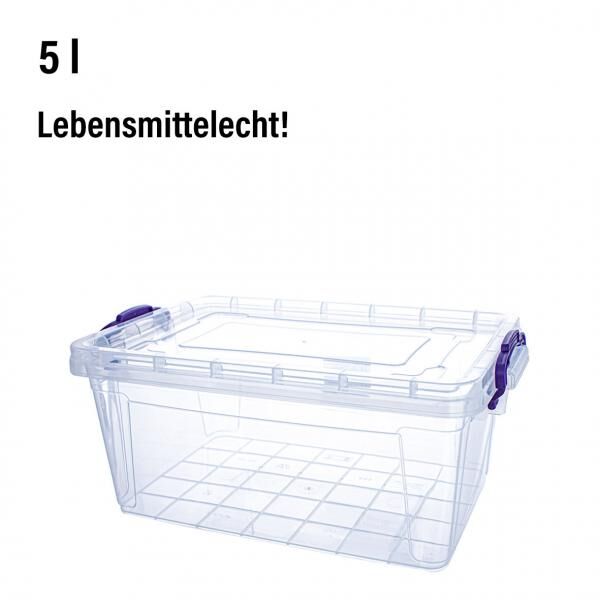 Box SOFIA, 5 L, 13,5 x 31 x 20 cm,