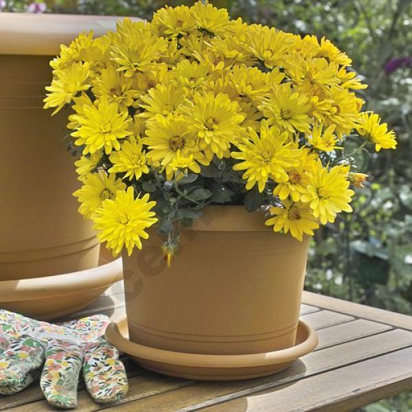 Coaster cylinder d= 16cm Terracotta